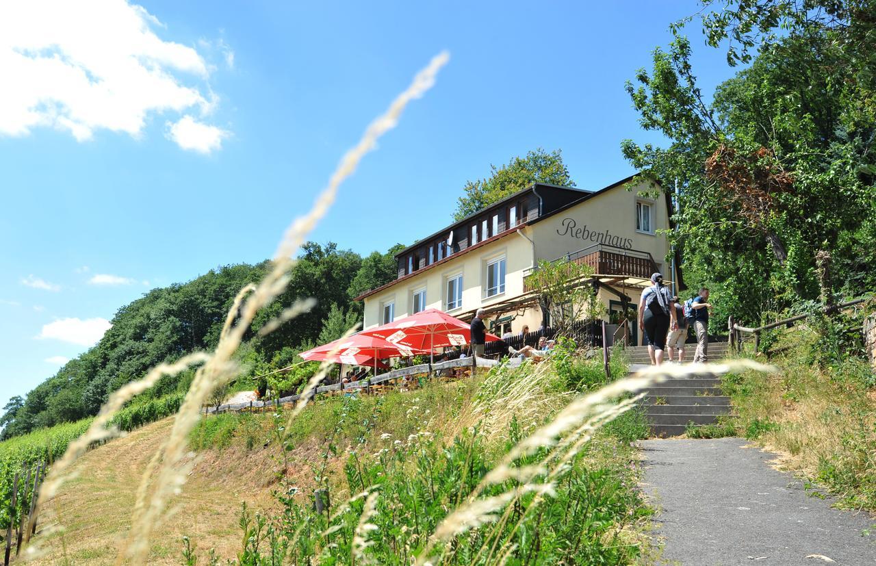 Das Rebenhaus Apartment Ruedesheim am Rhein Exterior photo